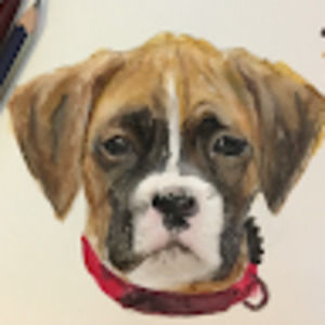 Meet your Posher, Eve